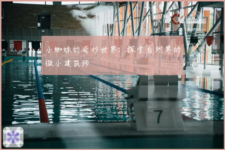 小蜘蛛的奇妙世界：探索自然界的微小建筑师